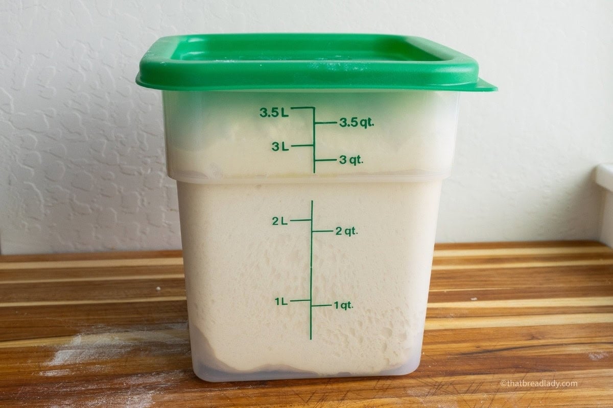 A plastic 4 liter food container, with a lid on top, and dough inside.
