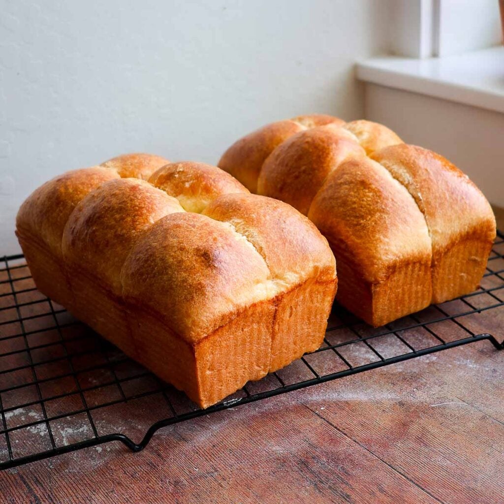 Two loaves of french brioche bread on a wire cooling rack.