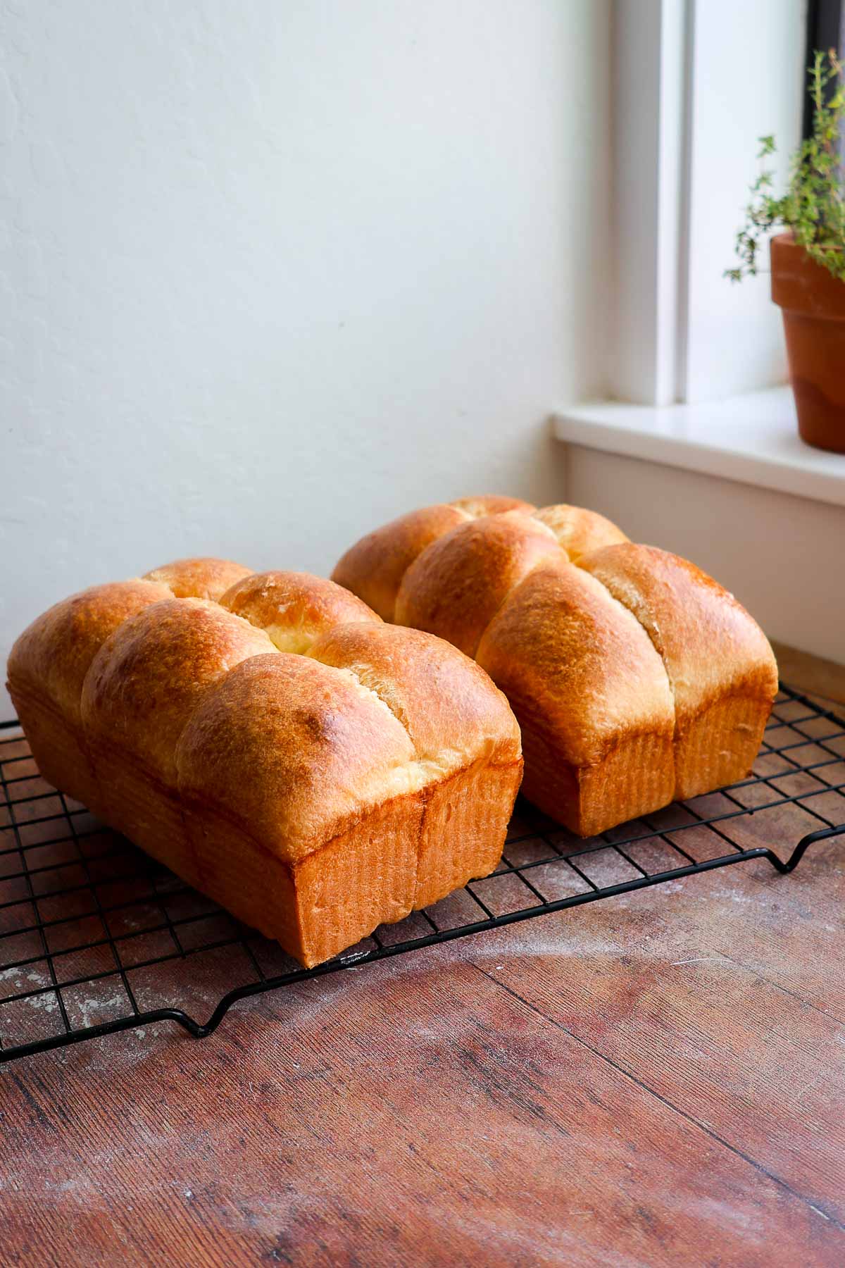 Two loaves of french brioche bread on a wire cooling rack.