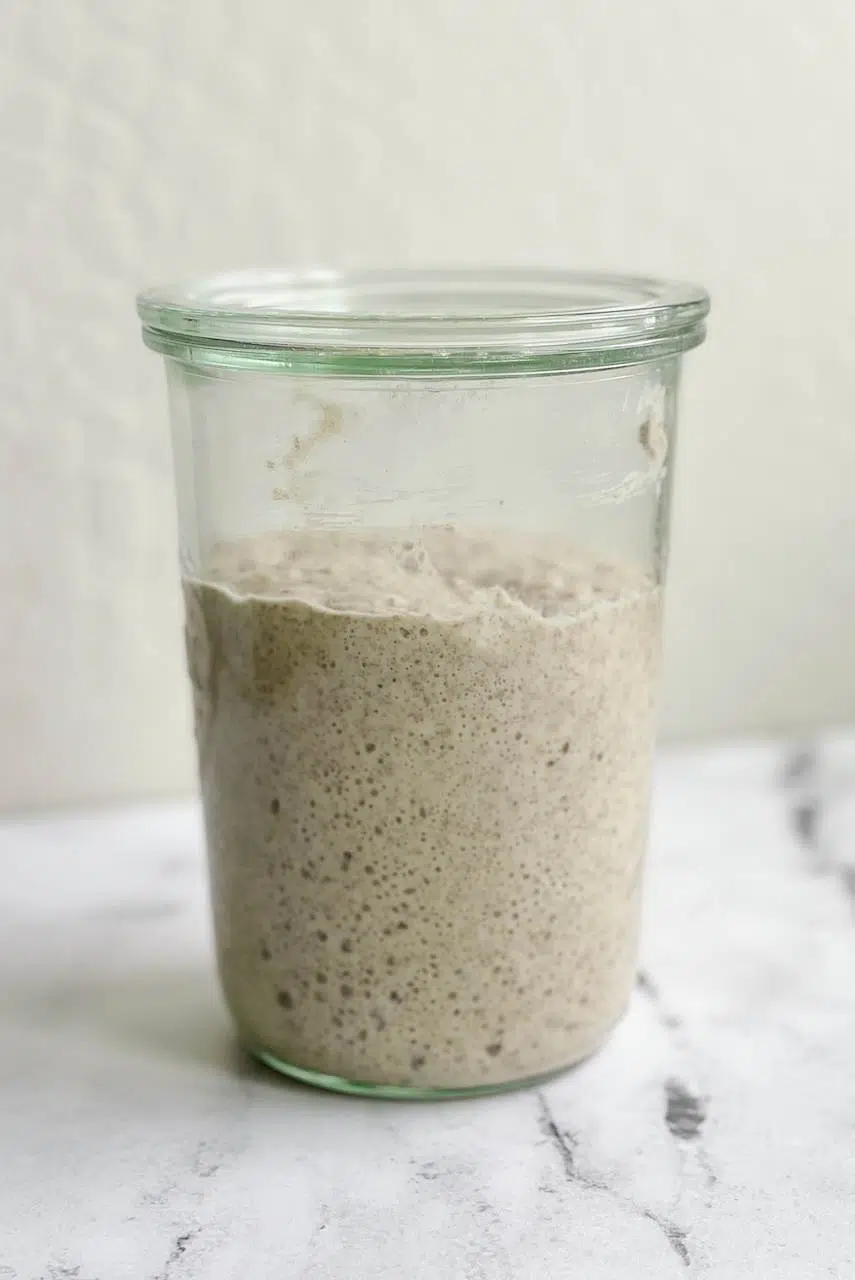 A jar of risen sourdough starter.