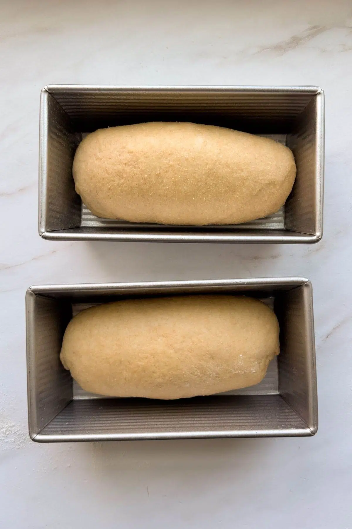 Two shaped loaves of honey whole wheat sandwich bread in bread pans.