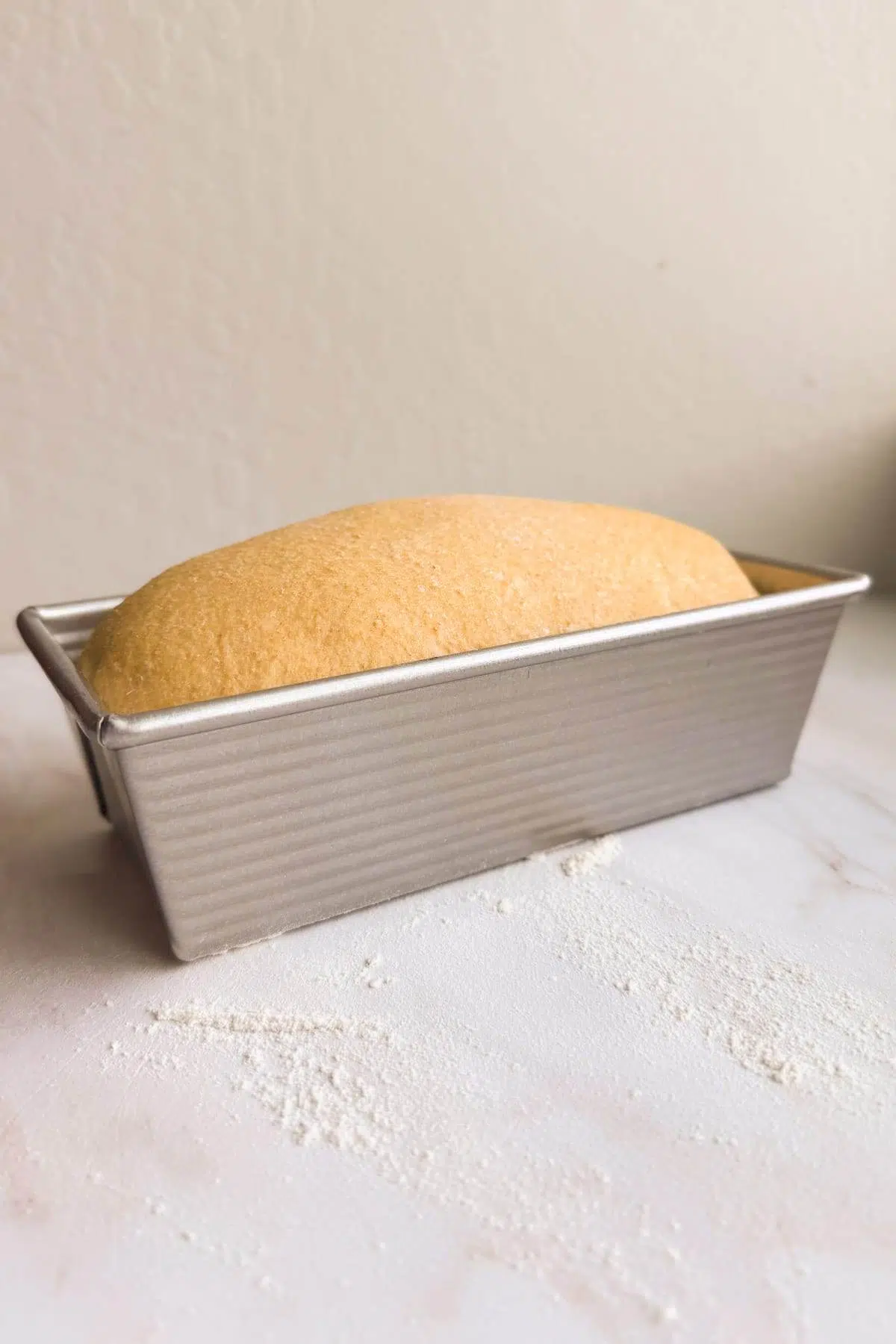 A loaf of risen bread dough about 1 inch above the pan level.