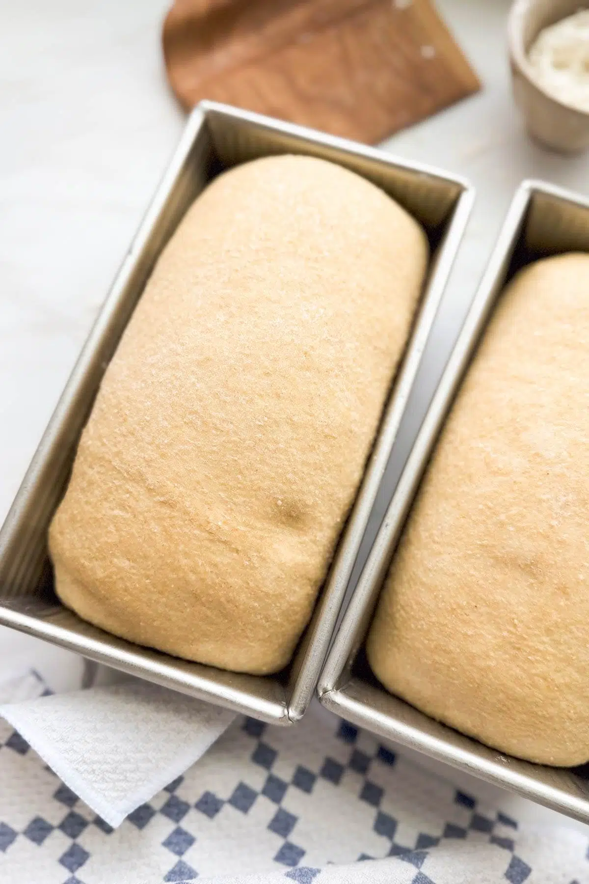 Two loaves of bread dough, one with a finger indentation in the dough.