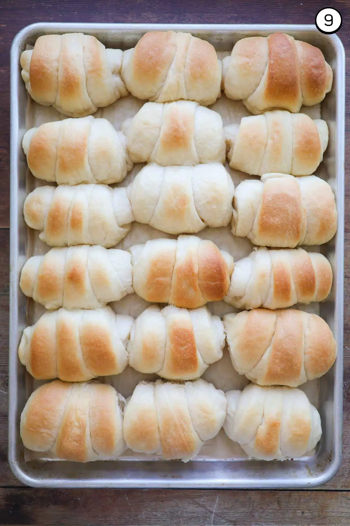 A baking sheet full of golden, baked crescent rolls.