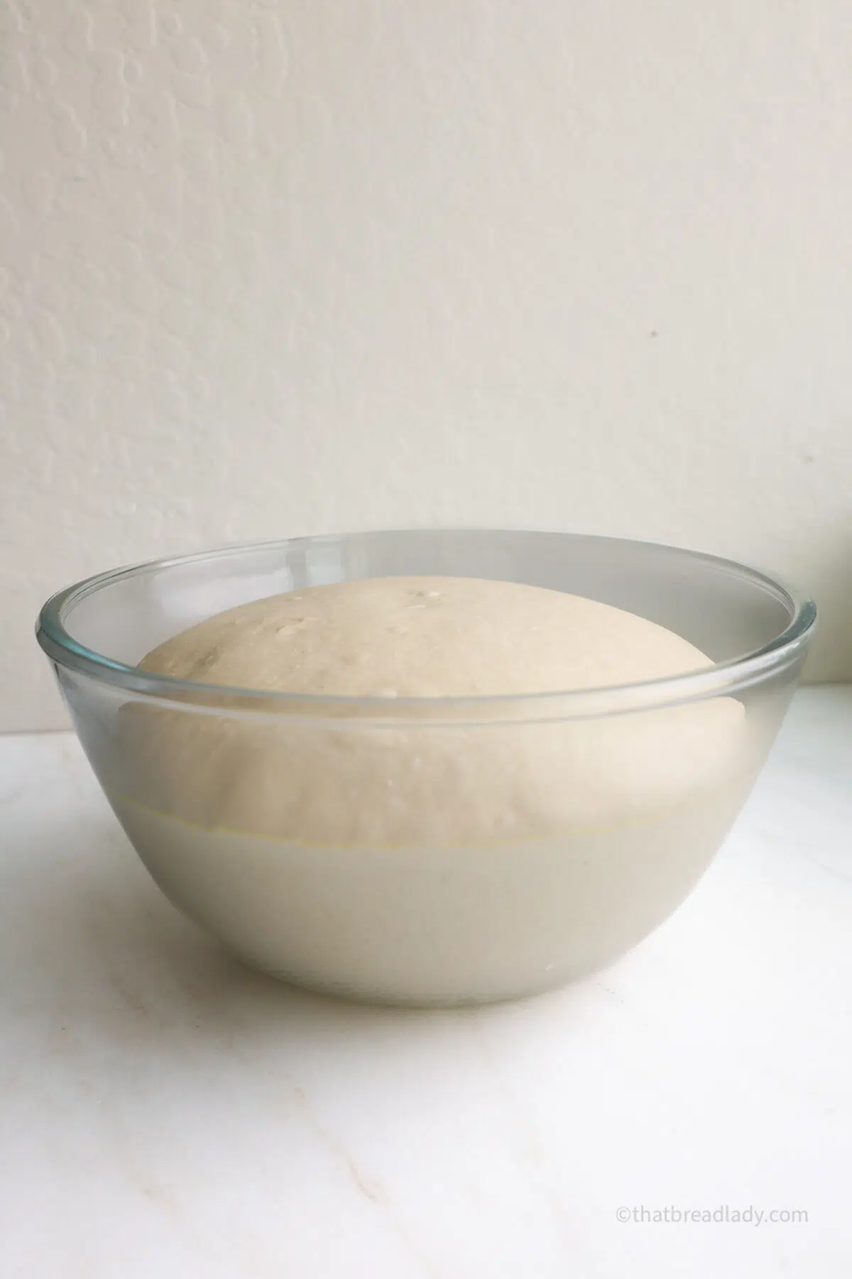 Risen dough in a glass bowl, resting on a countertop.