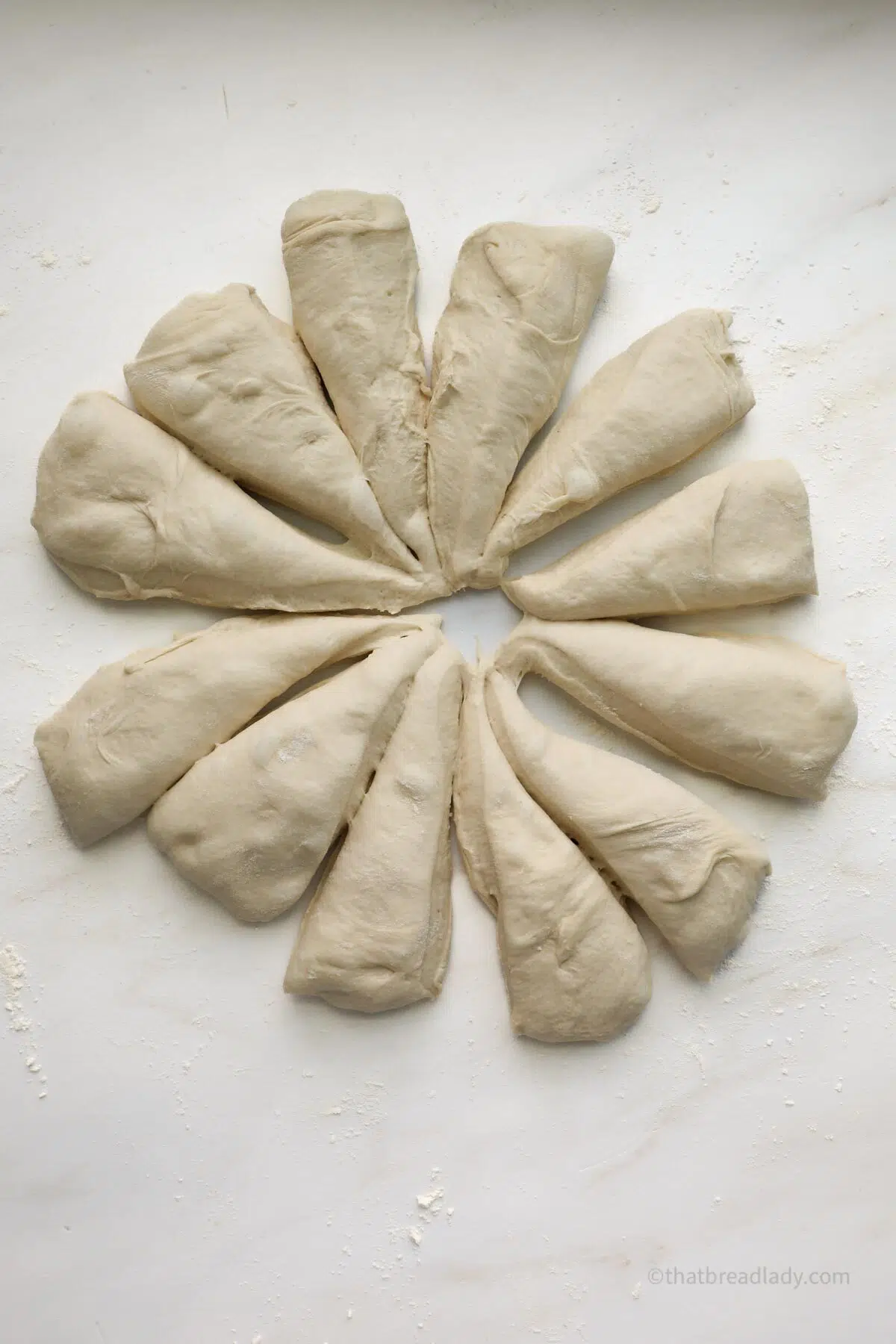 English muffin dough divided into 12 equal sized pieces, on a floured countertop.