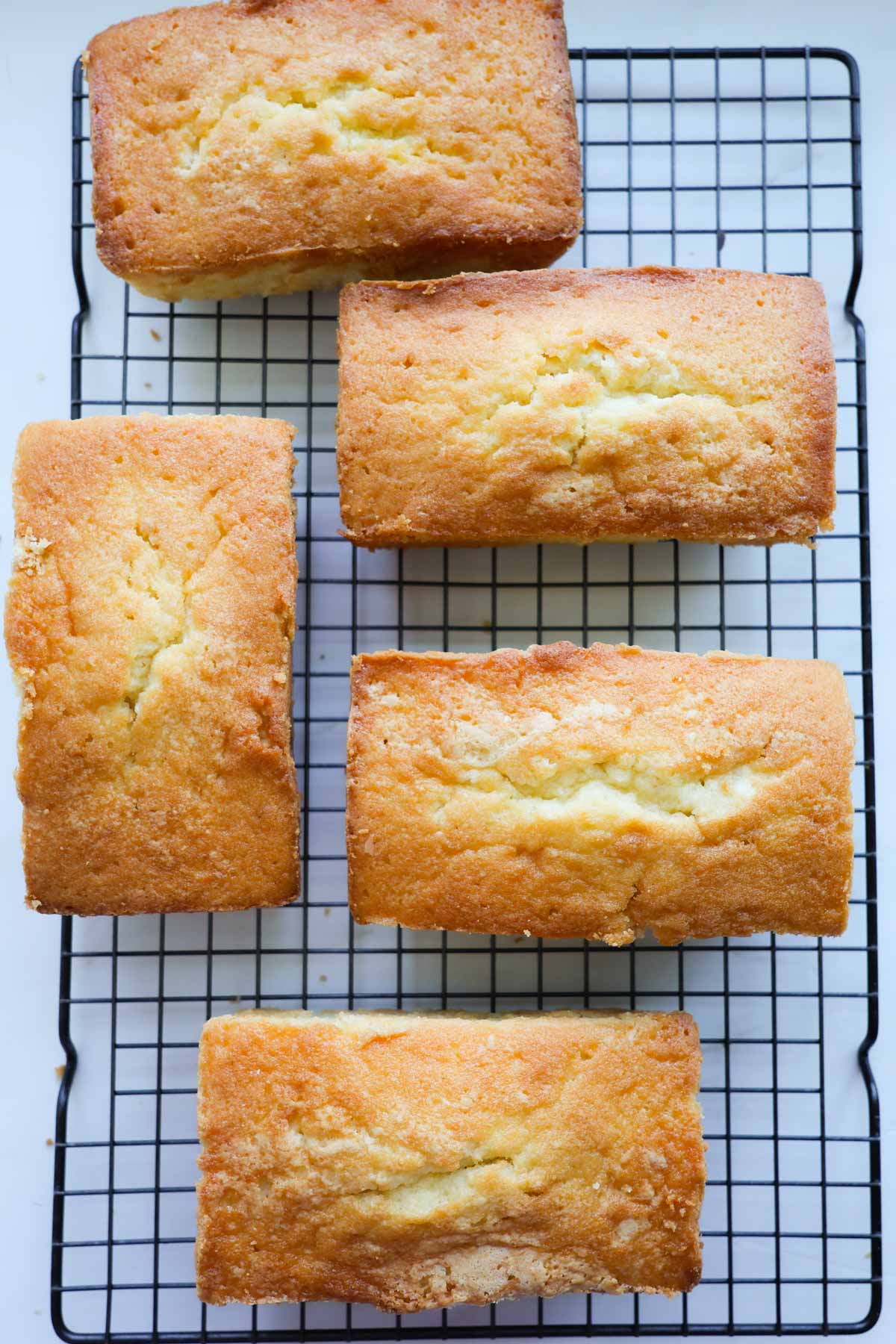 Five loaves of orange pound cake cooling on a wire cooling rack.