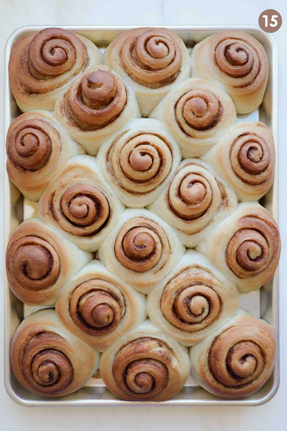 A baking sheet full of baked, unfrosted cinnamon rolls.