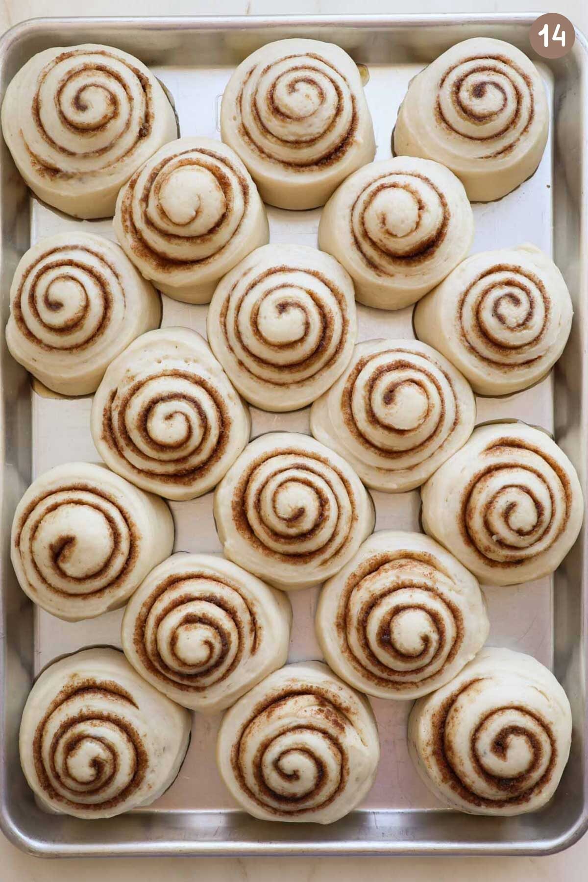 A pan of 18 risen homemade cinnamon rolls.