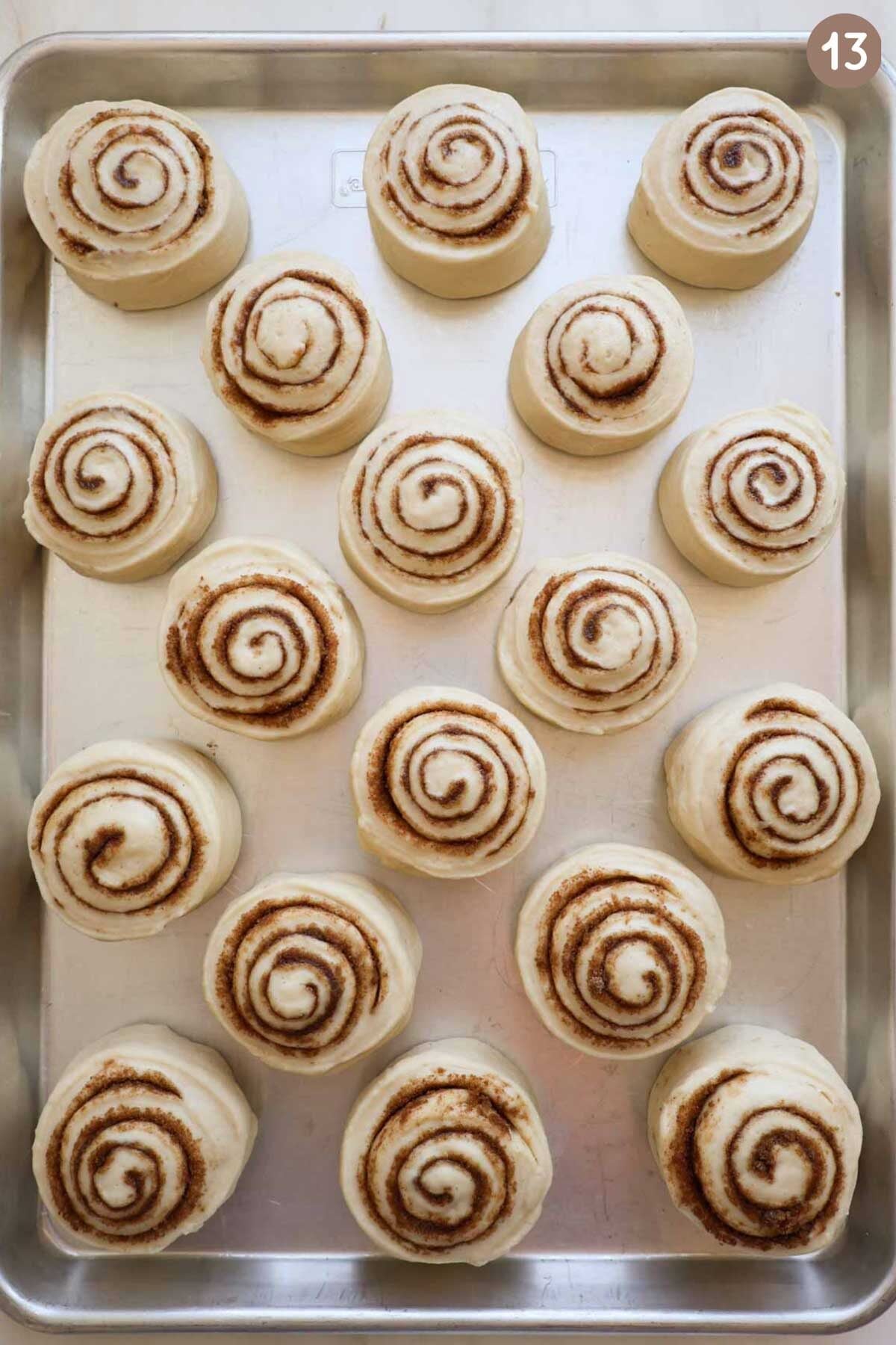 A pan of 18 cinnamon rolls that have not risen yet.