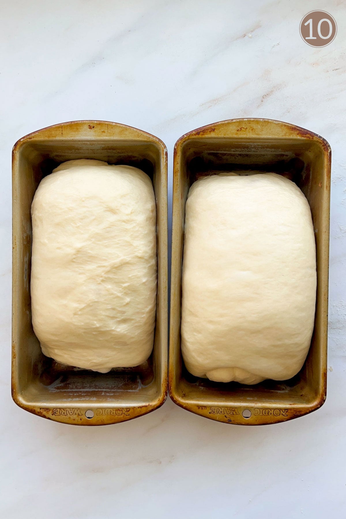 Two loaves of white bread, rising in loaf pans on a white marble counter top.