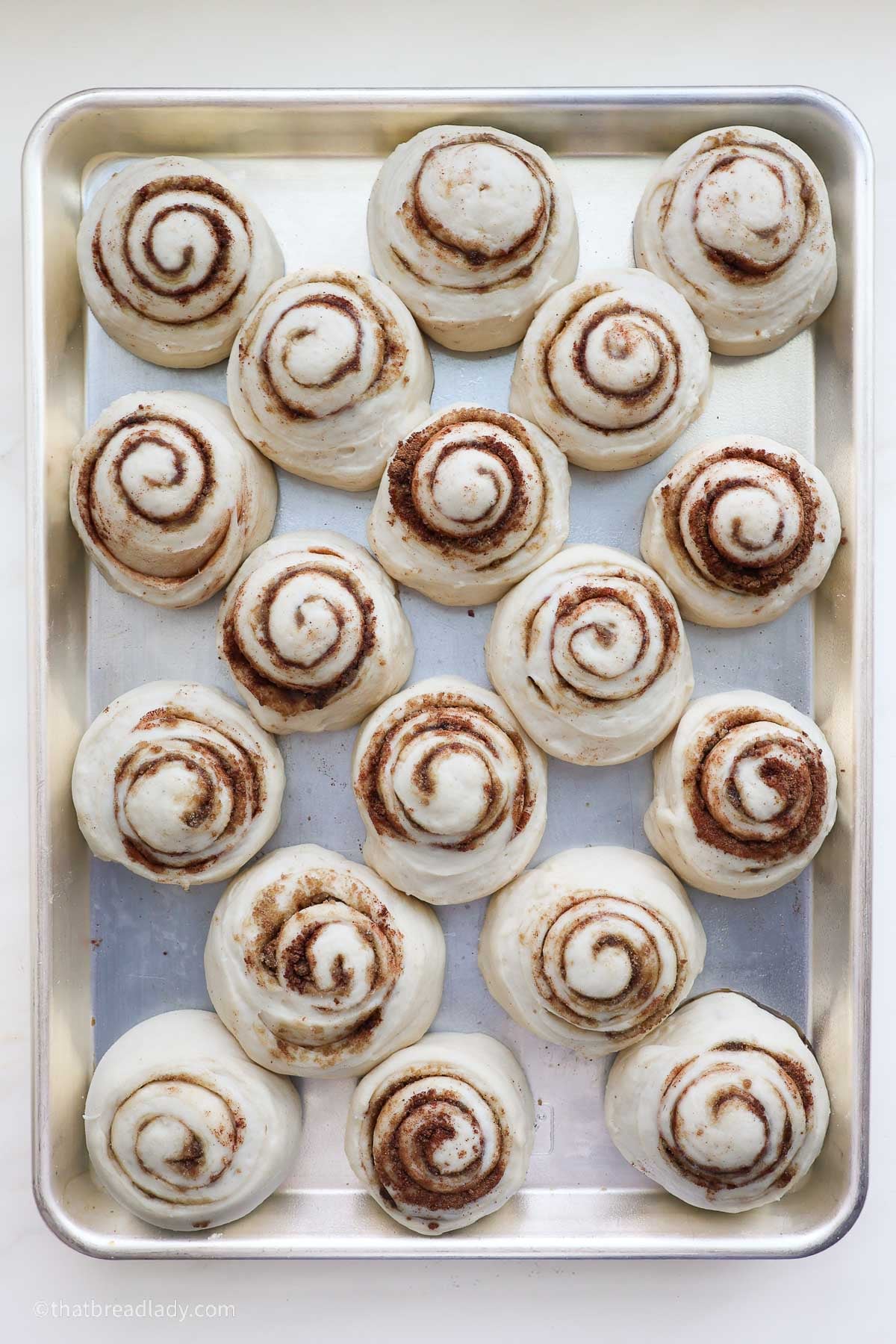 A baking sheet with 18 unbaked Biscoff cinnamon rolls on it.