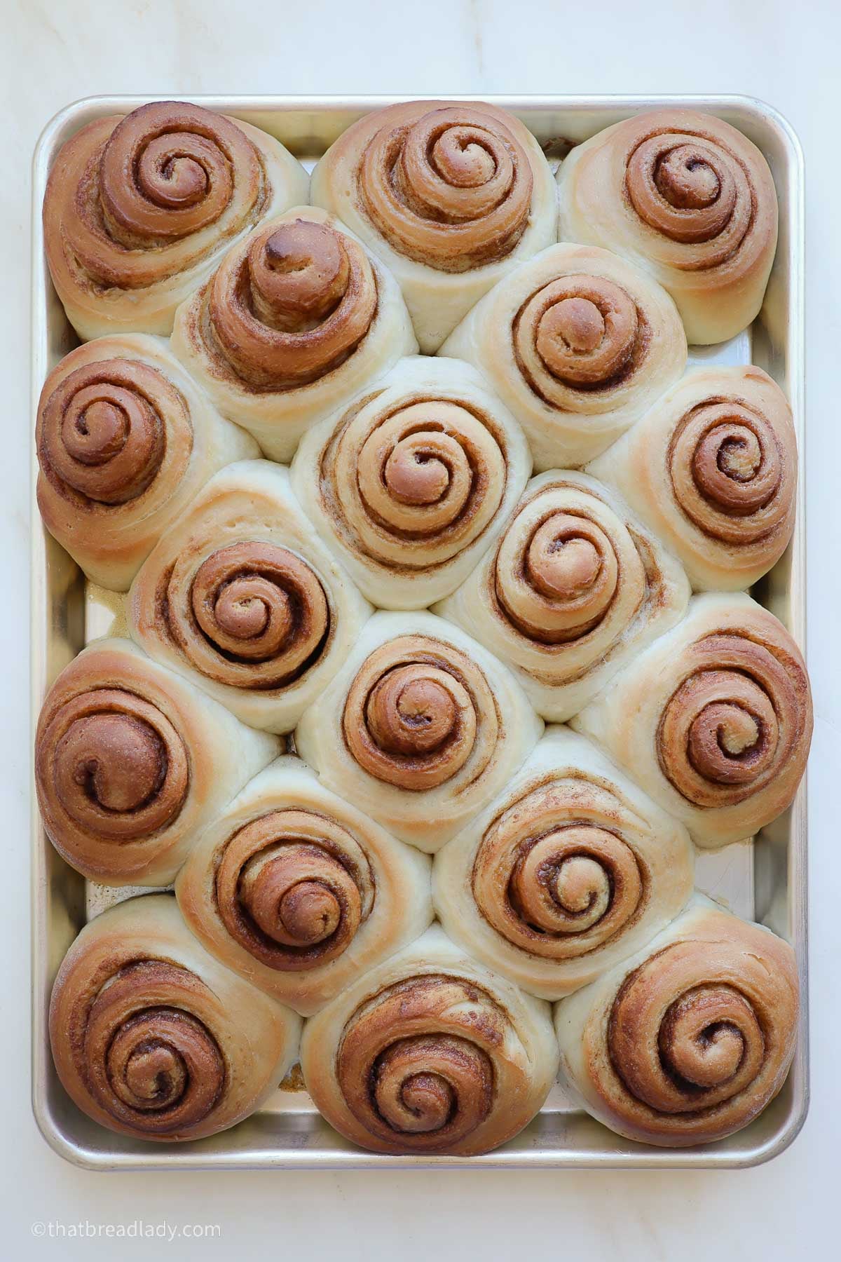 A baking sheet with baked, golden Biscoff cinnamon rolls.