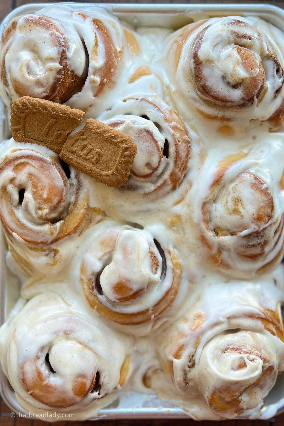 A pan of frosted Biscoff cinnamon rolls, with a Lotus cookie on top.