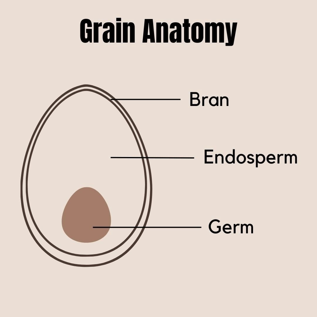 Baking with Whole Grains - That Bread Lady
