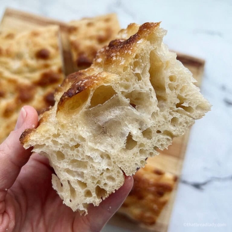 Easy Overnight Focaccia Recipe