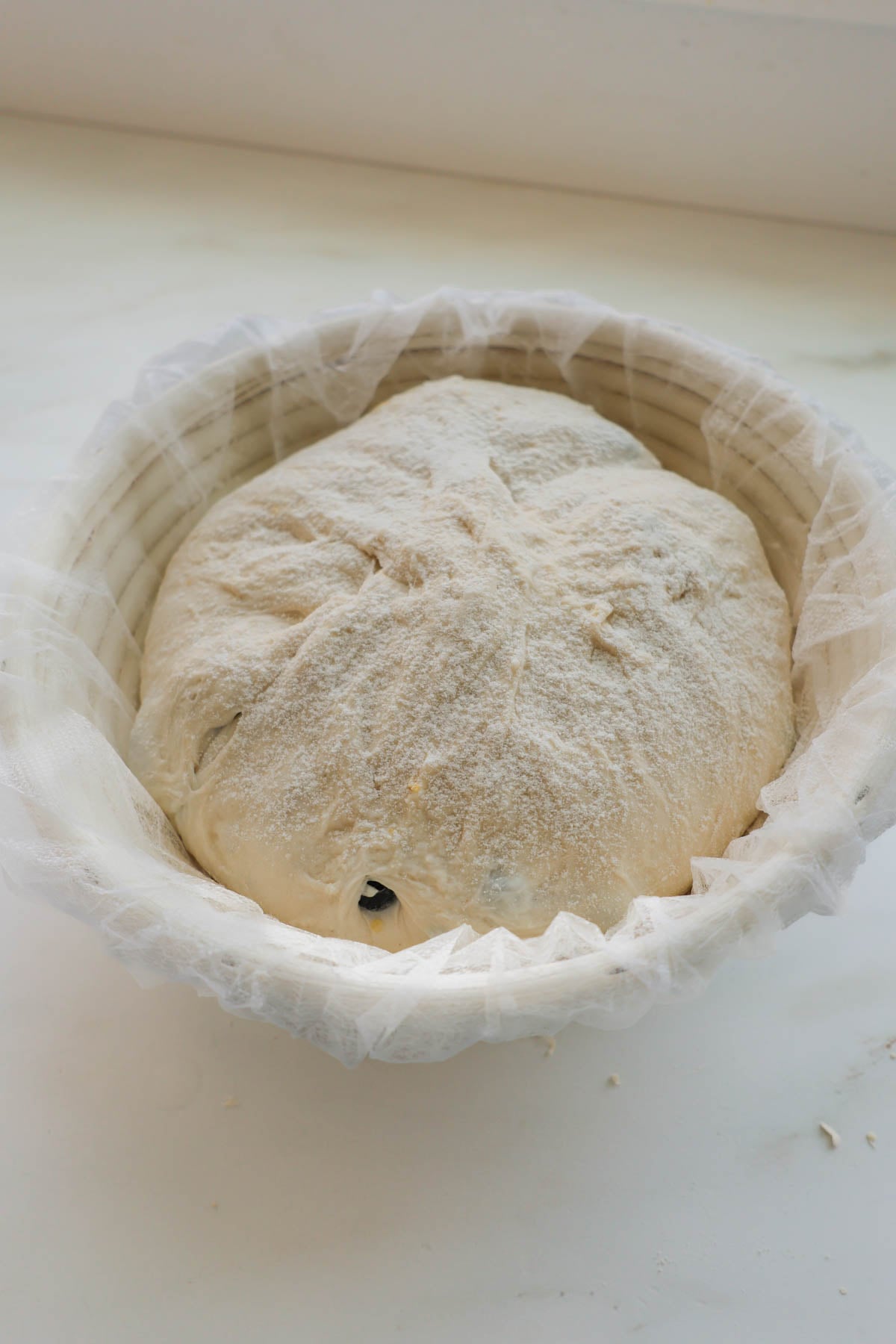 A round loaf of unbaked lemon blueberry sourdough bread in a proofing basket, with flour dusted on top.