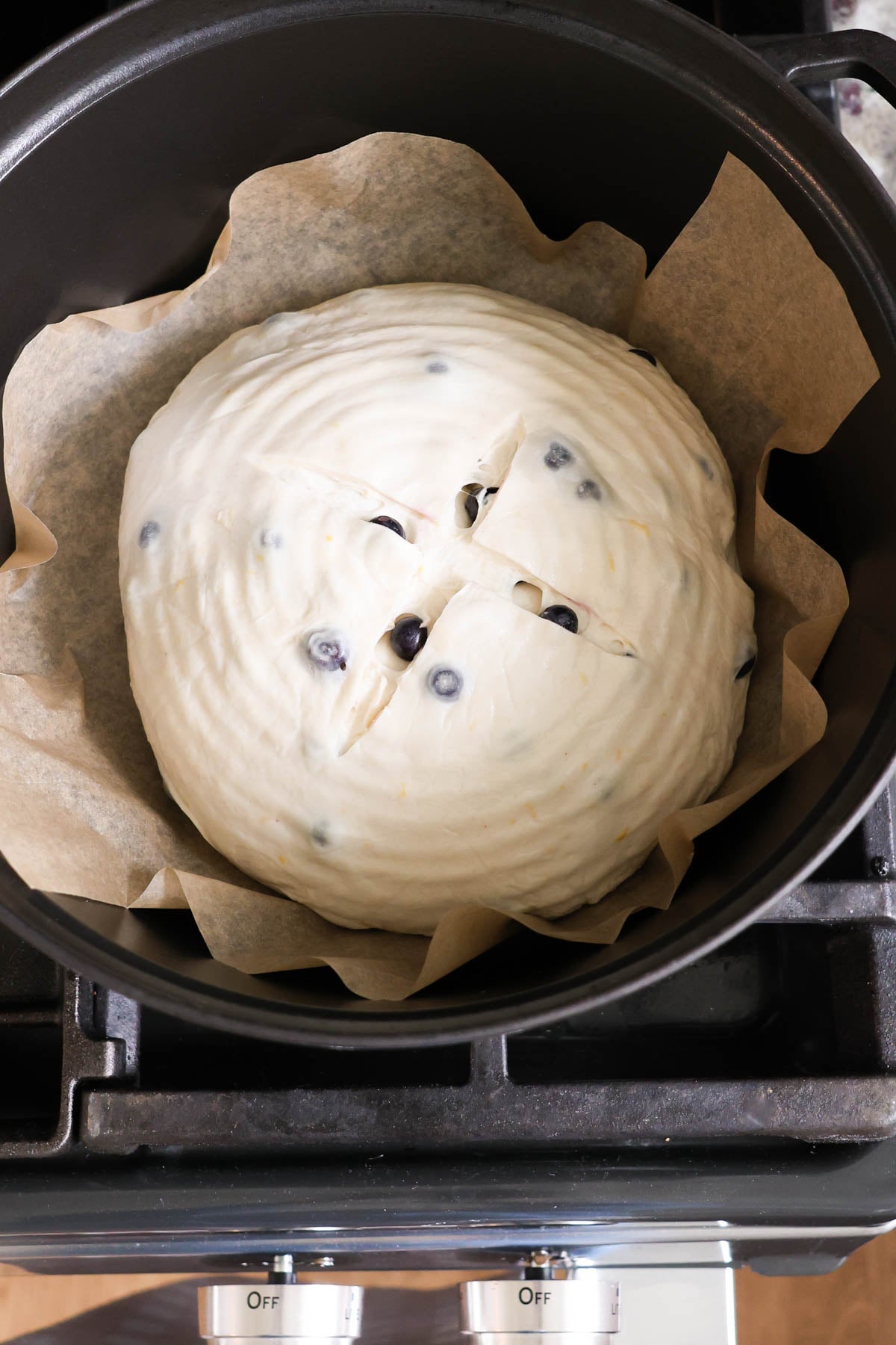 An unbaked lemon sourdough loaf, with two score marks on top, resting on a piece of parchment inside a dutch oven.