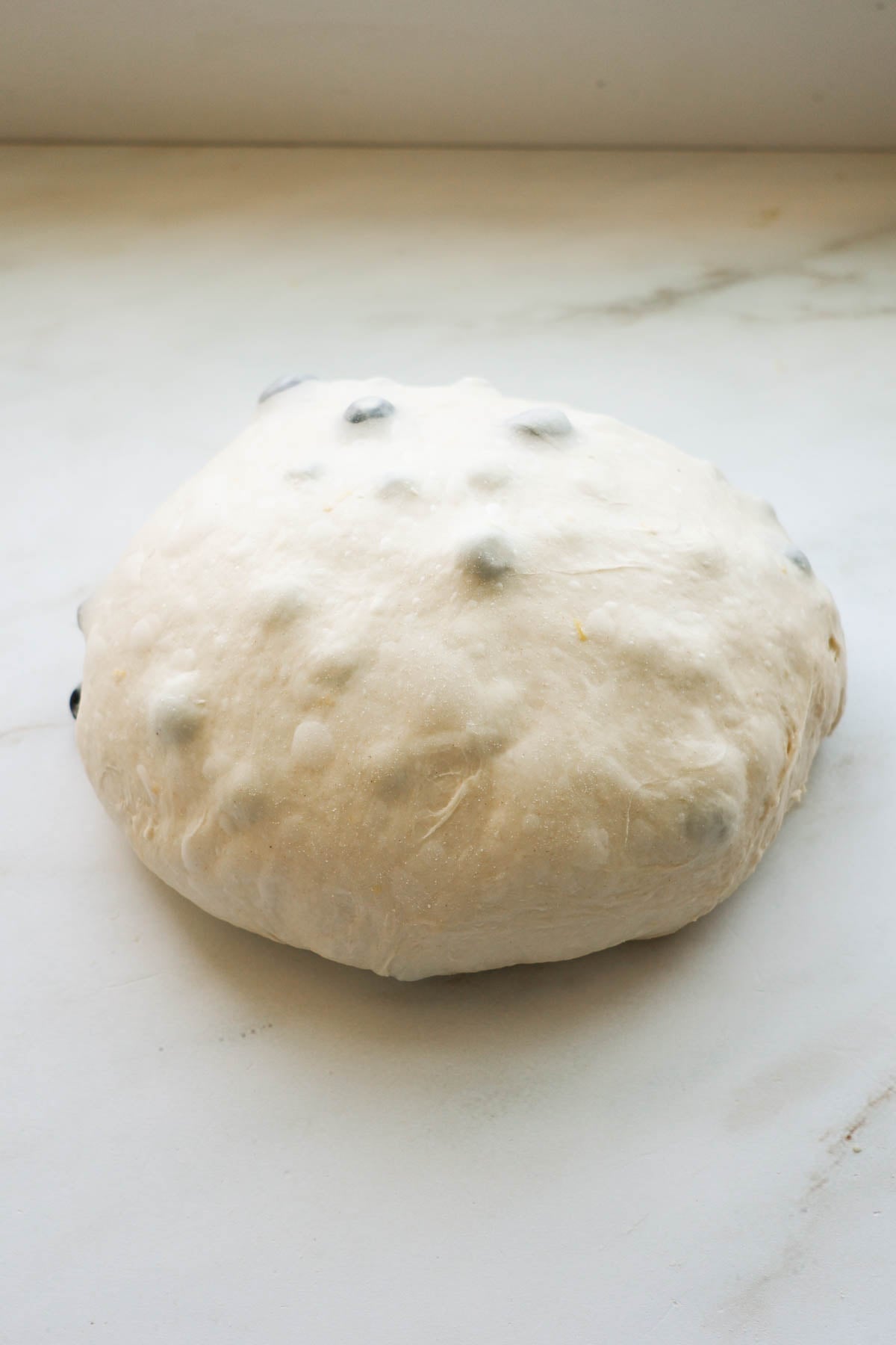 A round ball of lemon blueberry sourdough, on a marble countertop.