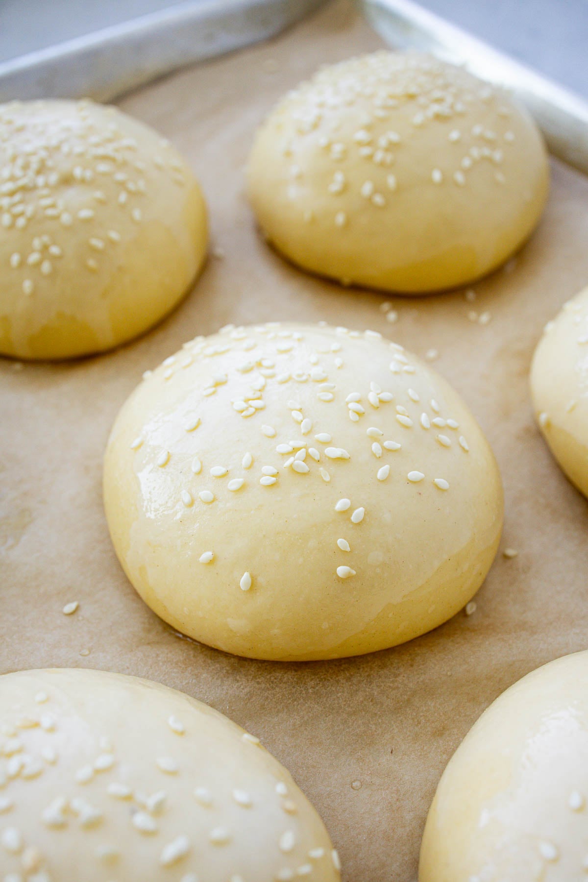 Risen brioche hamburger buns, with sesame seeds on top, on a parchment lined baking sheet.