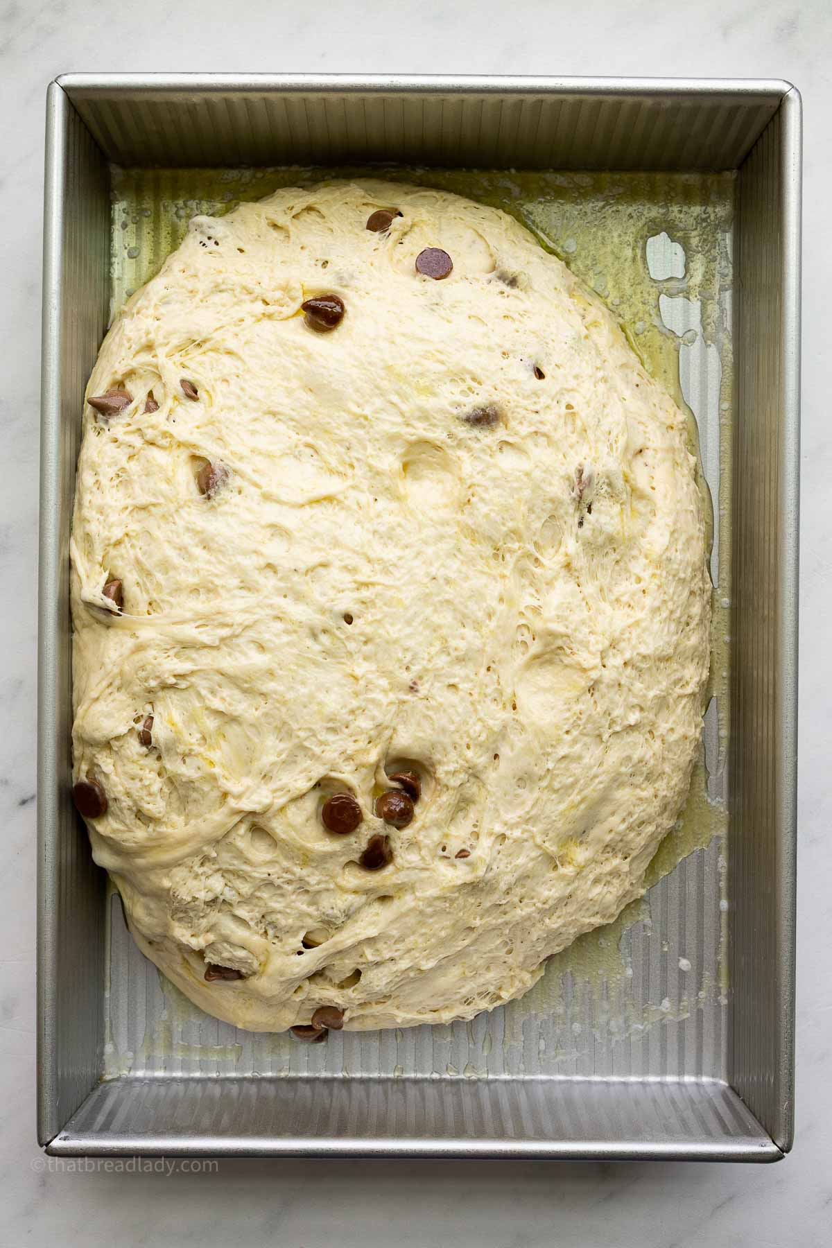Chocolate chip banana bread focaccia dough in a metal 9x13-inch cake pan, coated with olive oil and butter.