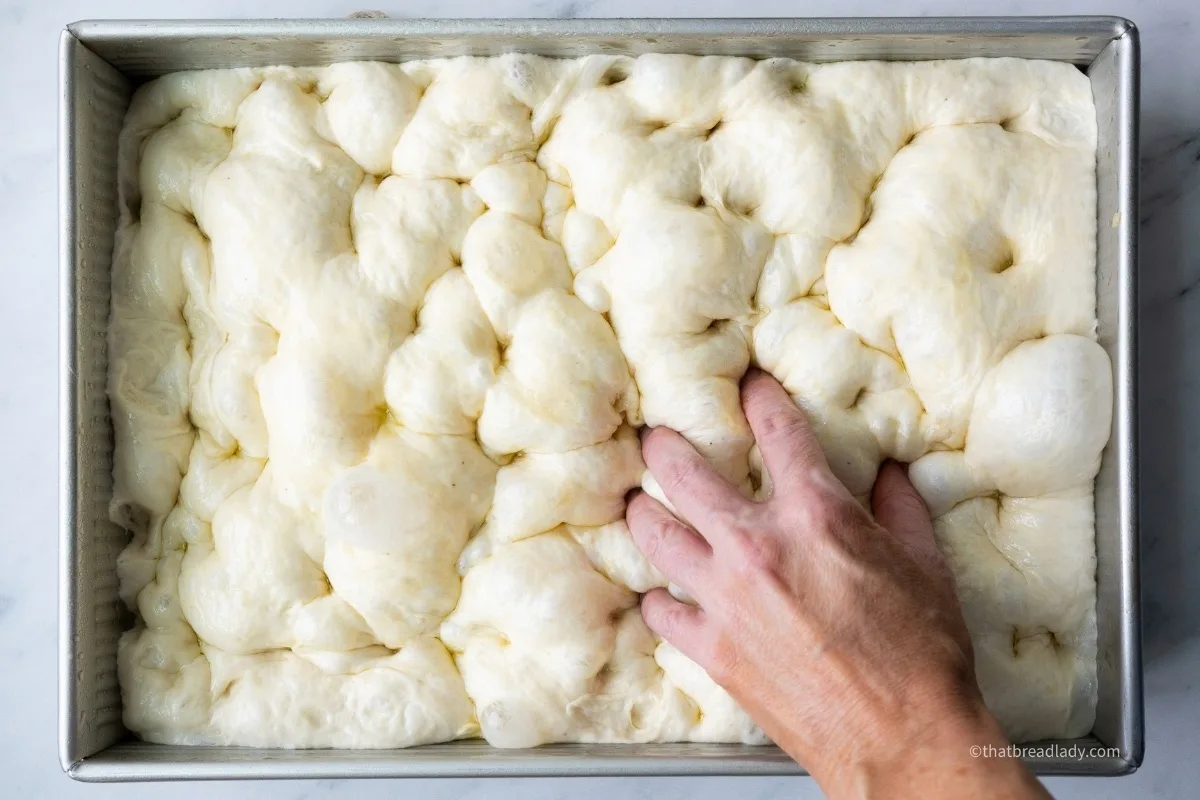 A hand dimpling focaccia dough, resting inside a metal pan.