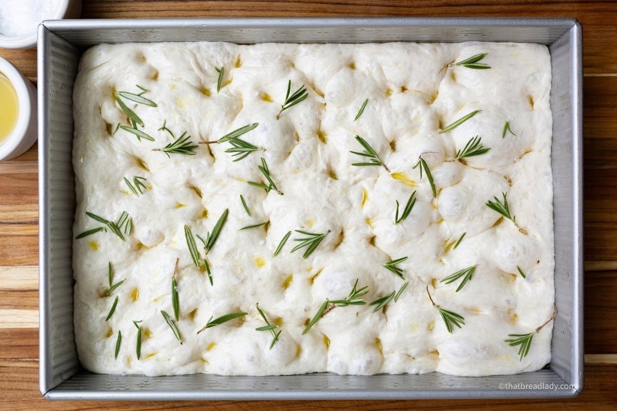 A pan of dimpled focaccia dough with rosemary leaves on top.