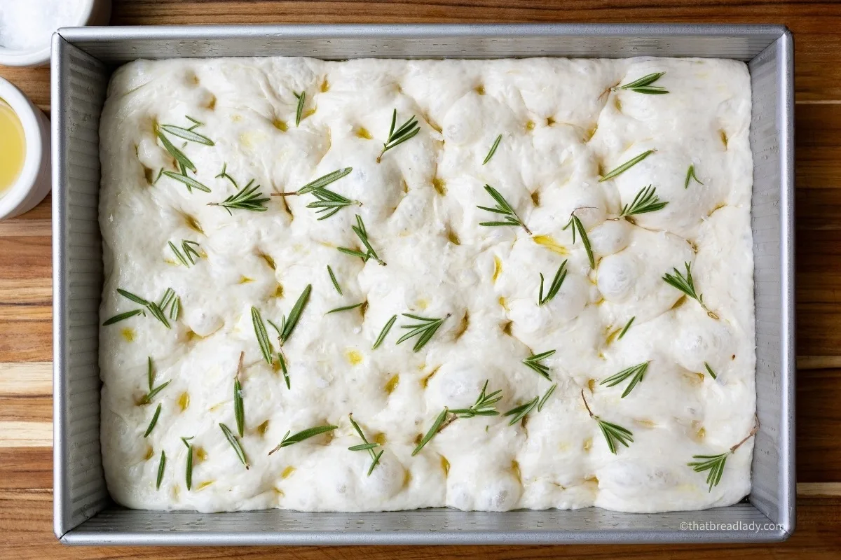 A pan of dimpled focaccia dough with rosemary leaves on top.