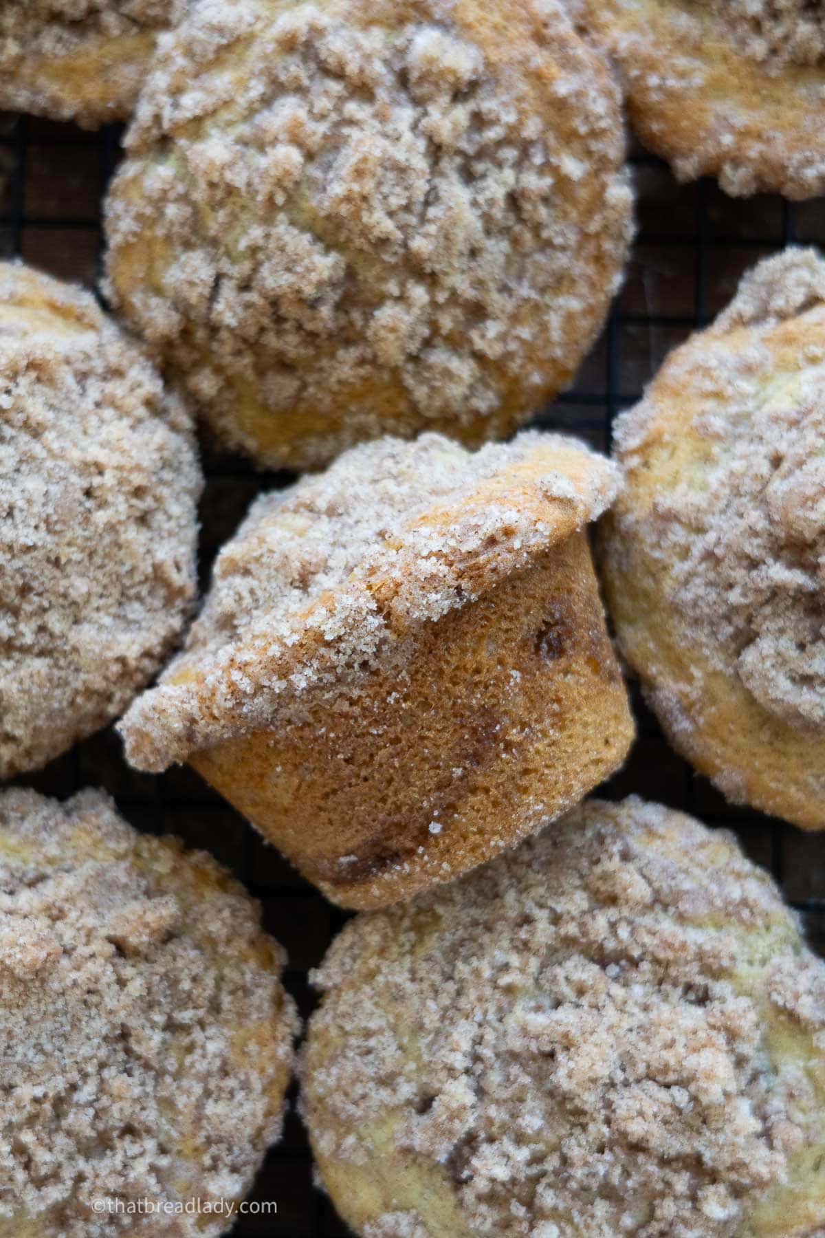 Sourdough coffee cake muffins with a crumb topping, and one muffin turned on its side.