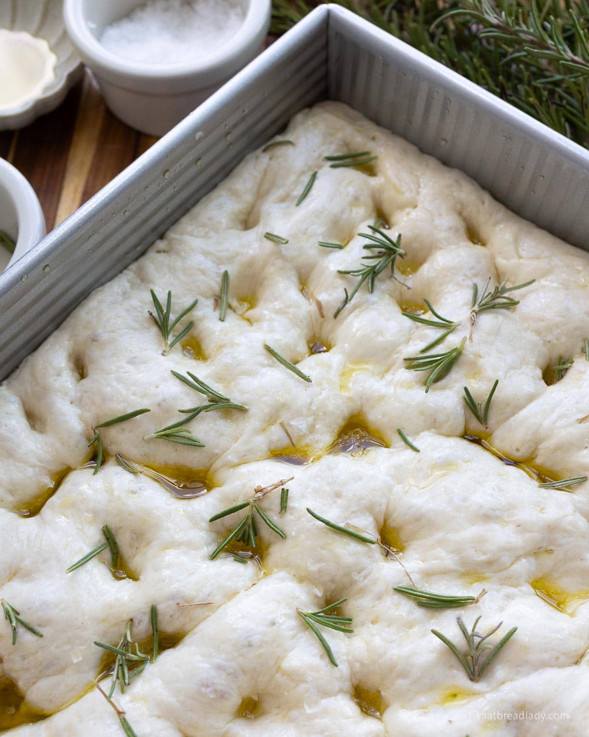 A metal pan with dimpled focaccia dough, rosemary leaves and olive oil settled in the dimples of the dough.
