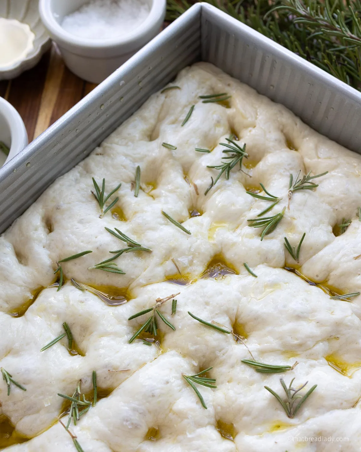 A metal pan with dimpled focaccia dough, rosemary leaves and olive oil settled in the dimples of the dough.