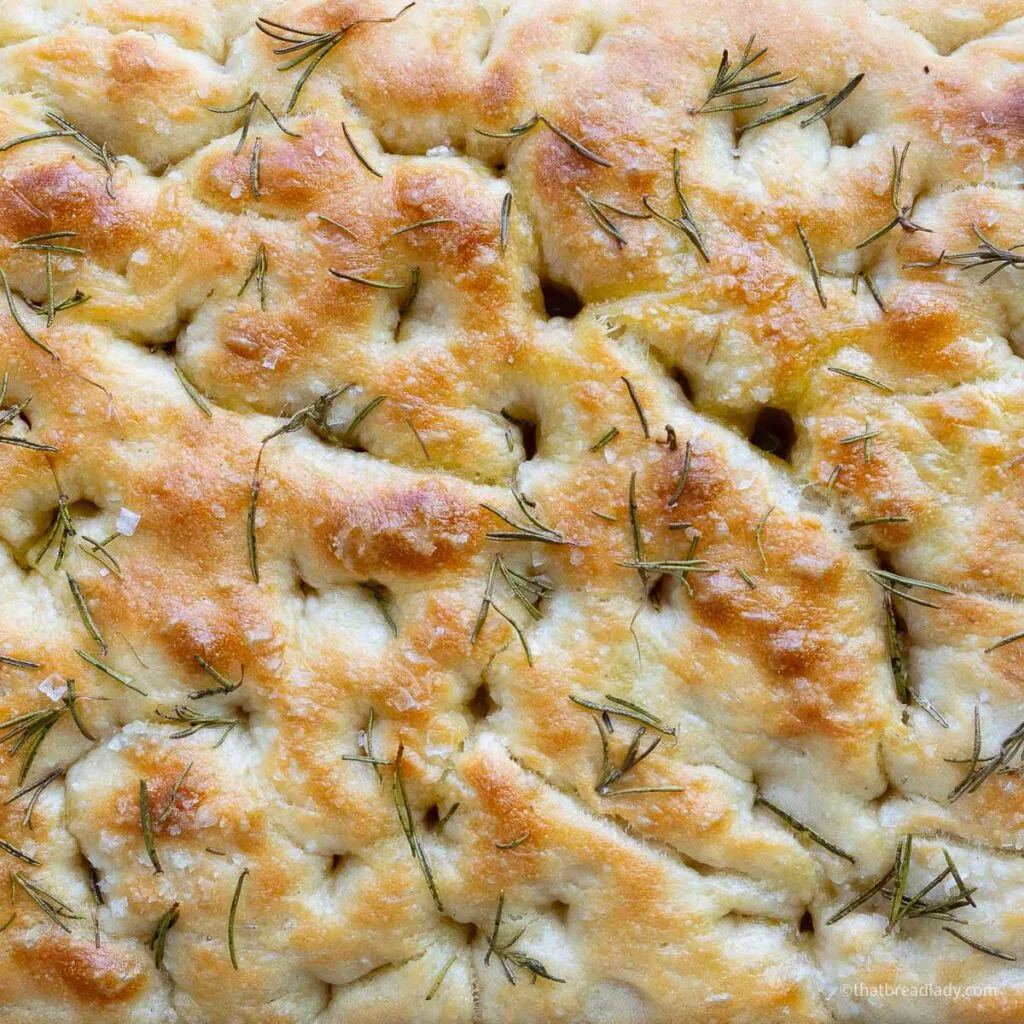 Baked focaccia bread with rosemary and sea salt flakes on the crust.